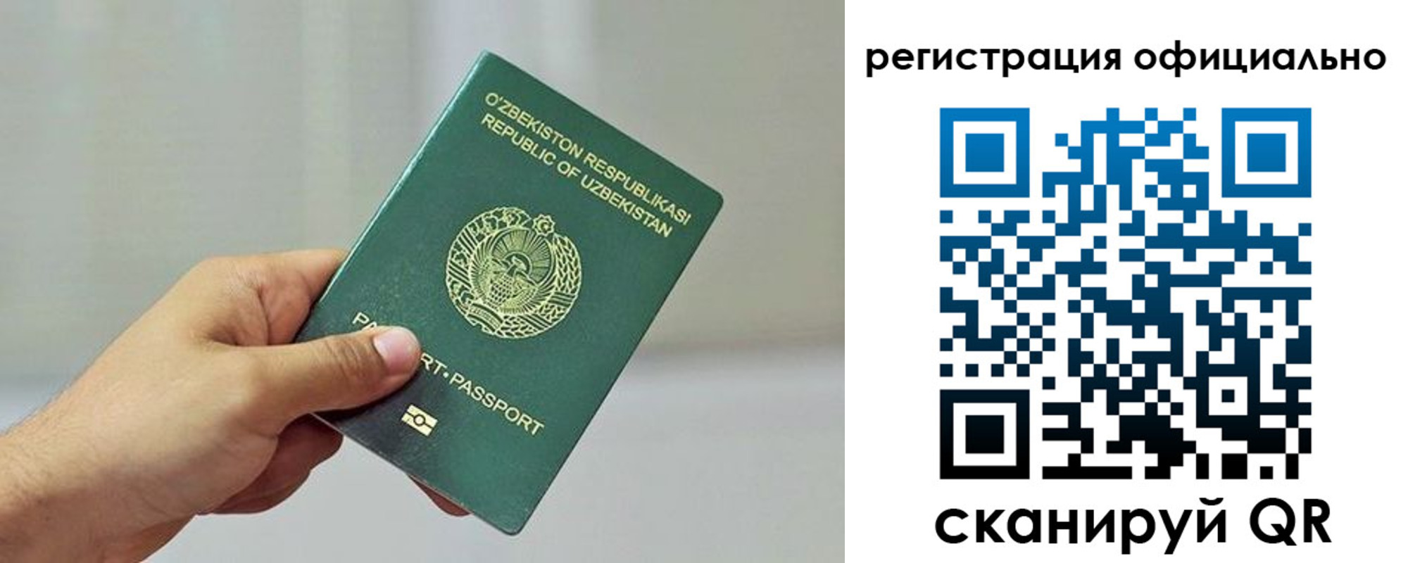 прописка в квартире в Дальнегорске