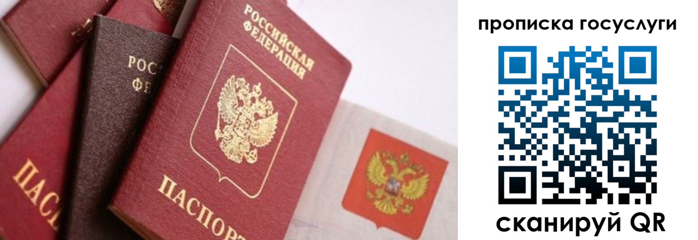 прописка законно в Дальнегорске